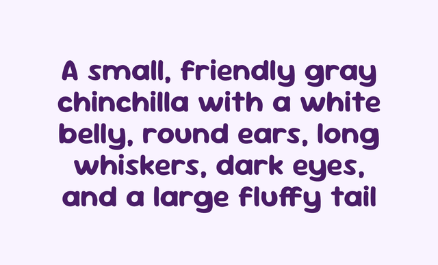 Text on a light lavender background reading: 'A small, friendly gray chinchilla with a white belly, round ears, long whiskers, dark eyes, and a large fluffy tail' in dark purple rounded font.