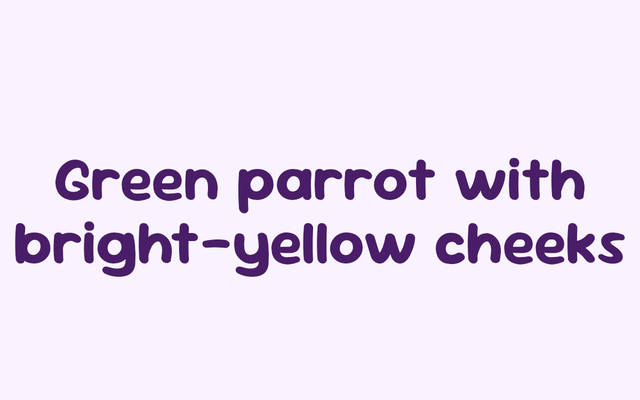 Text reading 'Green parrot with bright-yellow cheeks' in purple on a very light lavender background.